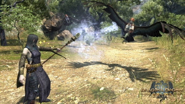 Dragons-Dogma-Online-6-4-15-005