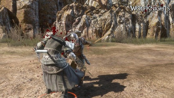 Wolfknights 30-6-14-013