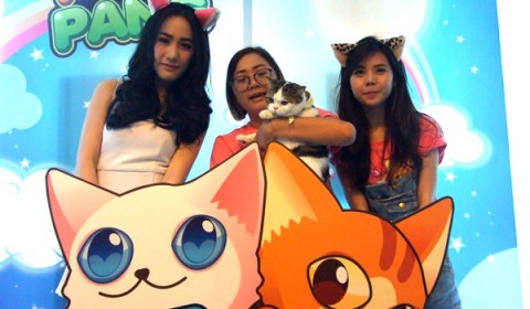 TDP เปิดตัวเกมส์ใหม่บนมือถือ PlusPang คนรักแมวห้ามพลาด