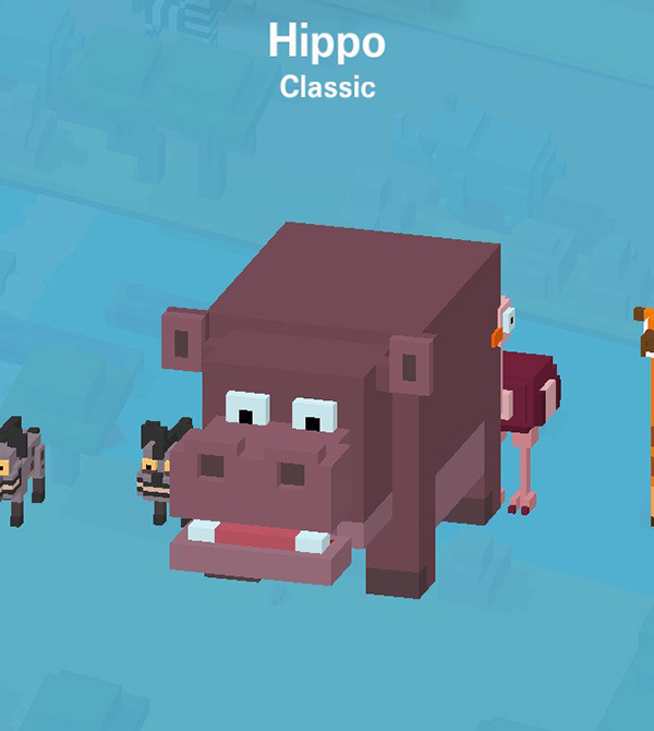10_Hippo