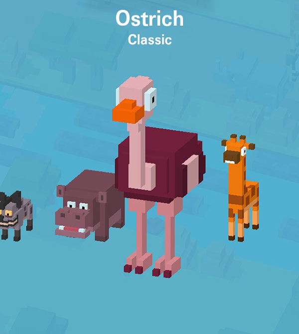11_Ostrich
