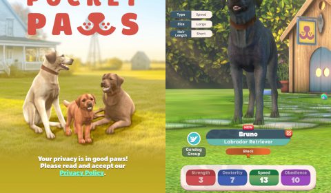 [รีวิวเกมมือถือ] เมื่อบ้านไม่ว่าง แต่อยากเปิดฟาร์ม มาเป็นเจ้าของฟาร์มเจ้าตูบสุดป่วนกันใน Pocket Paws